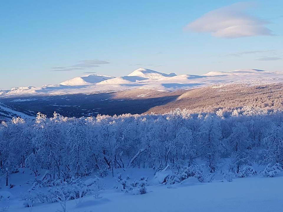 Bruksvallarna - Modern Fjaellstuga Med Panoramautsikt Och Wifi Buitenkant foto