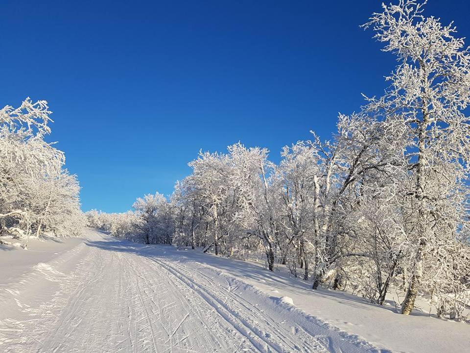 Bruksvallarna - Modern Fjaellstuga Med Panoramautsikt Och Wifi Buitenkant foto